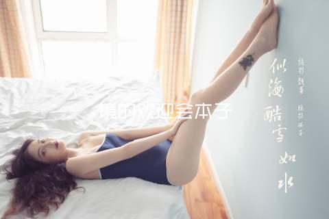 镜的欢迎会本子